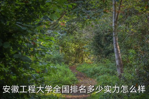 安徽工程大學(xué)全國排名多少實(shí)力怎么樣