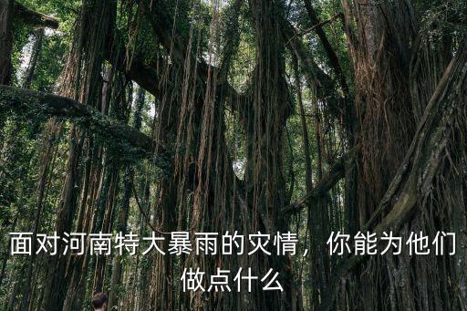 面對河南特大暴雨的災情，你能為他們做點什么