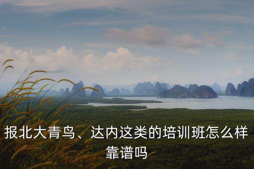 在武漢達內當班主任怎么樣,達內培訓怎么樣