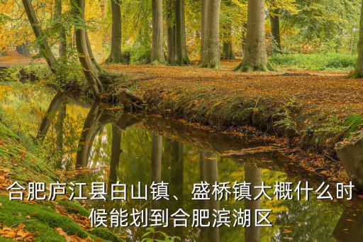合肥市廬江縣盛橋高中多少萬分,安徽省合肥市廬江縣怎么樣