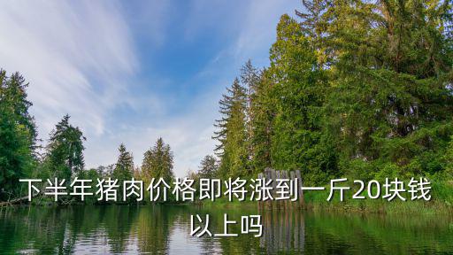 下半年豬肉價格即將漲到一斤20塊錢以上嗎