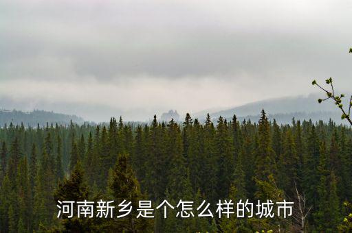 河南新鄉是個怎么樣的城市