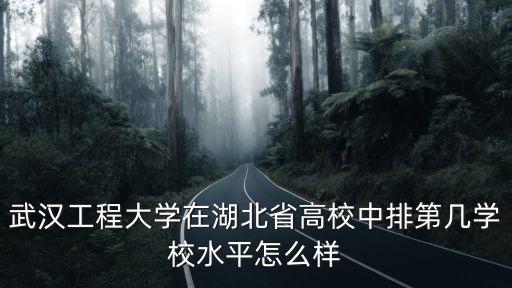 武漢工程大學acca怎么樣,武漢工程大學法學專業怎么樣