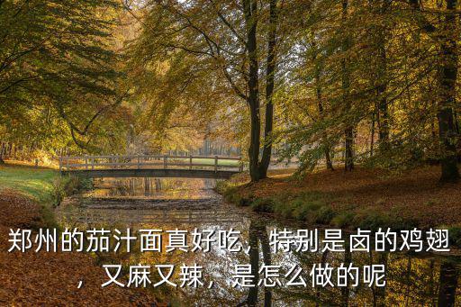 鄭州的茄汁面真好吃，特別是鹵的雞翅，又麻又辣，是怎么做的呢