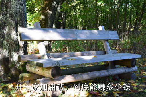 廊坊開(kāi)加油站多少錢,開(kāi)一家加油站