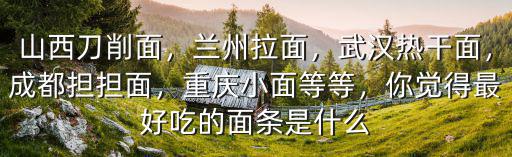 山西刀削面，蘭州拉面，武漢熱干面，成都擔擔面，重慶小面等等，你覺得最好吃的面條是什么