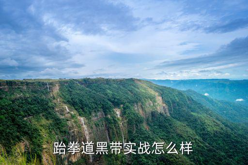 跆拳道黑帶實(shí)戰(zhàn)怎么樣