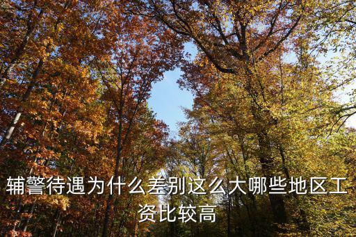 河北保定地區輔警工資是多少,河北輔警前途如何