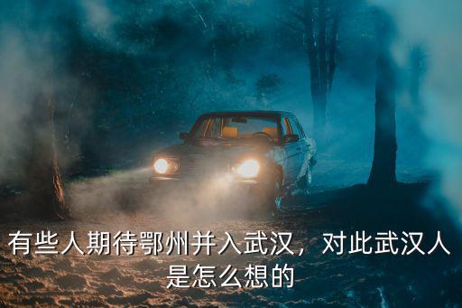 空降杭州的武漢人是怎么回事,對此武漢人是怎么想的