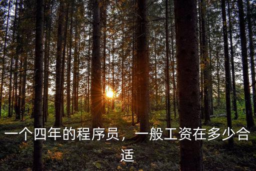 邢臺(tái)程序員工資多少,軟件開發(fā)工資多少