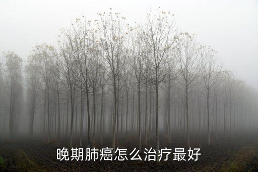 武漢肺癌怎么治療比較好,肺癌晚期怎么治療最好