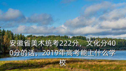 2018年高考安徽美術分數線是多少分,安徽省美術統考222分