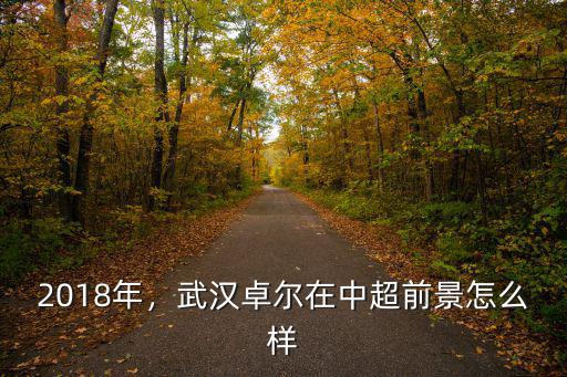 2018年，武漢卓爾在中超前景怎么樣