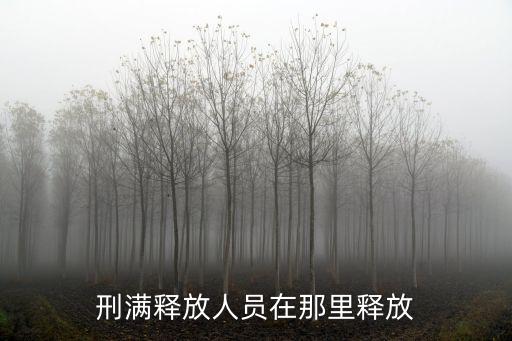 武漢H女刑滿釋放人員怎么回北京的,刑滿釋放人員在那里釋放
