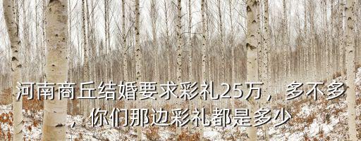河南商丘結婚要求彩禮25萬，多不多，你們那邊彩禮都是多少