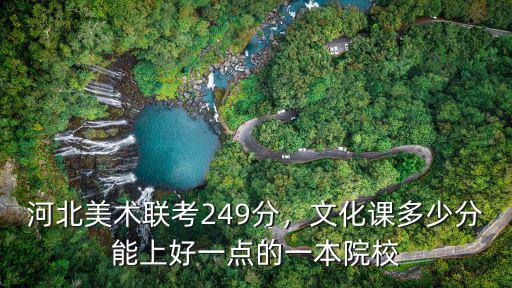 河北美術聯考249分，文化課多少分能上好一點的一本院校