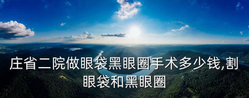 石家莊省二院做眼袋黑眼圈手術多少錢,割眼袋和黑眼圈