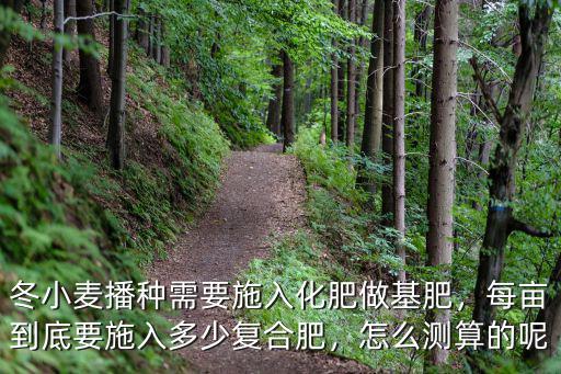 小麥田每畝施多少復合肥,每畝到底要施入多少復合肥