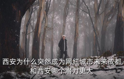 西安為什么突然成為網紅城市未來成都和西安哪個潛力更大