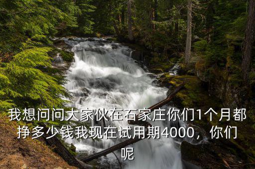 我想問問大家伙在石家莊你們1個月都掙多少錢我現在試用期4000，你們呢