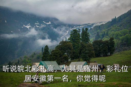 聽說皖北彩禮高，尤其是宿州，彩禮位居安徽第一名，你覺得呢