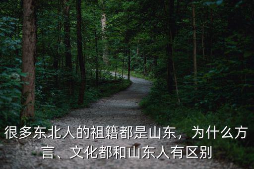 有多少人以為秦皇島是山東的,很多東北人的祖籍都是山東