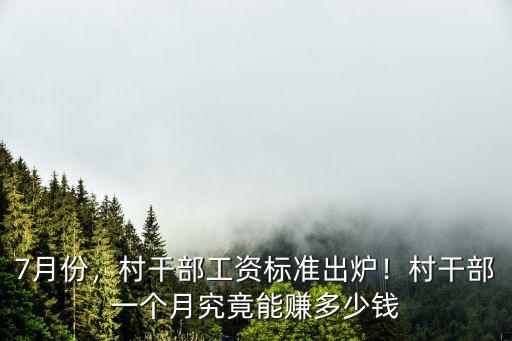 7月份，村干部工資標準出爐！村干部一個月究竟能賺多少錢