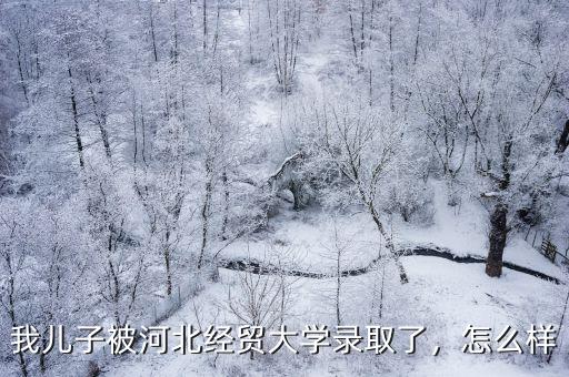 河北經(jīng)貿(mào)大學(xué)學(xué)號(hào)多少位,河北經(jīng)貿(mào)大學(xué)怎么樣
