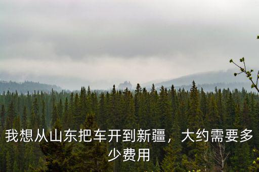 從承德到新疆要多少錢路費,我想從山東把車開到新疆