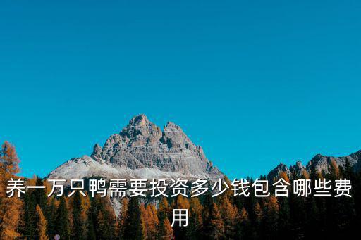 河北養鴨子需要多少投資,養一萬只鴨需要投資多少錢