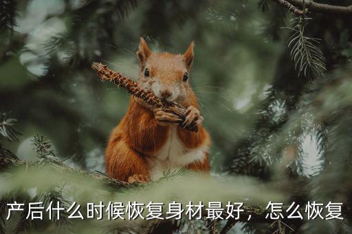 產后什么時候恢復身材最好，怎么恢復