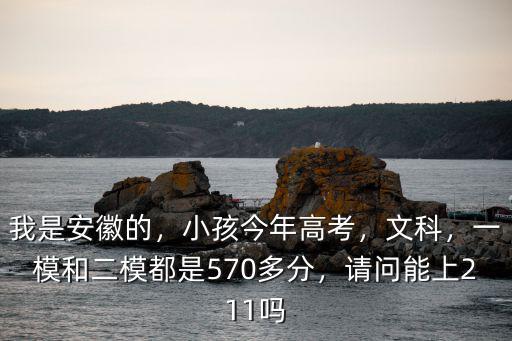 安徽高考文科最高分是多少,小孩今年高考