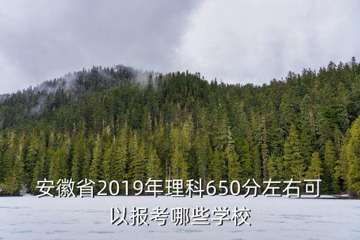 安徽省2019年理科650分左右可以報考哪些學校