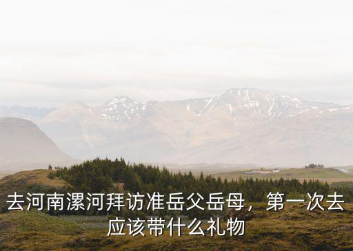去河南漯河拜訪準岳父岳母，第一次去應該帶什么禮物