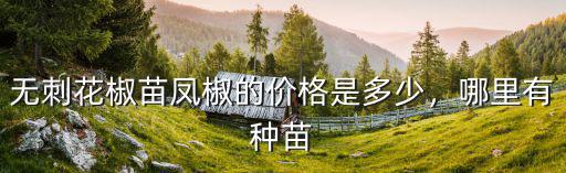 成都哪里有九葉青無刺花椒苗,哪里可以買到無刺花椒苗