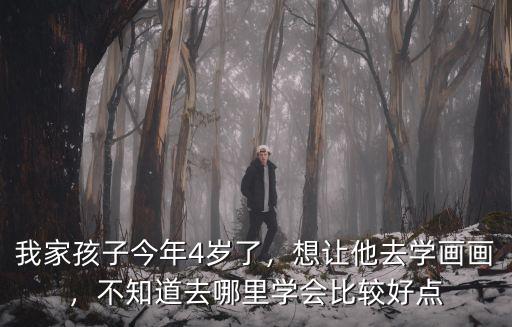 我家孩子今年4歲了，想讓他去學(xué)畫畫，不知道去哪里學(xué)會比較好點(diǎn)