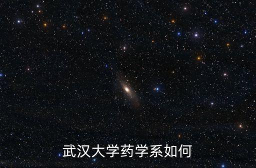 武漢大學藥學系如何