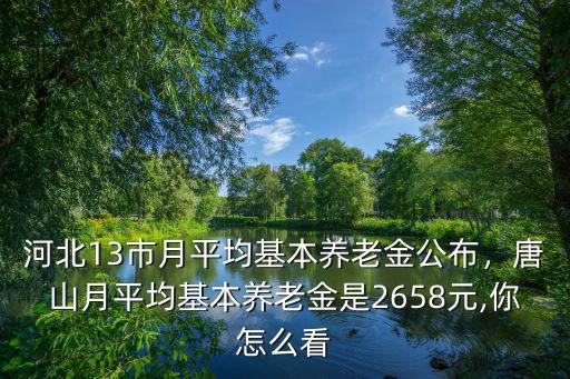 河北13市月平均基本養老金公布，唐山月平均基本養老金是2658元,你怎么看