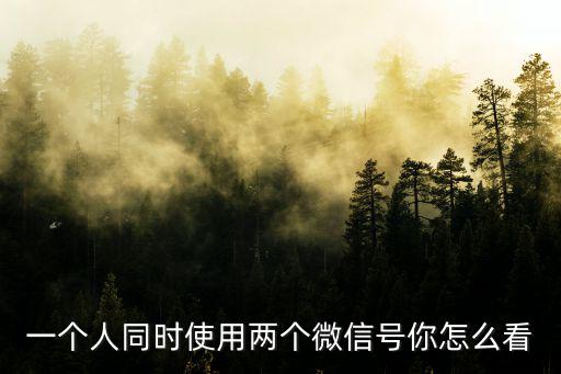 廊坊有多少人用微信號,有沒有人有兩個微信號