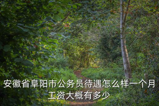 安徽省阜陽市公務員待遇怎么樣一個月工資大概有多少