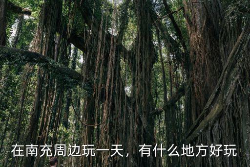 在南充周邊玩一天，有什么地方好玩