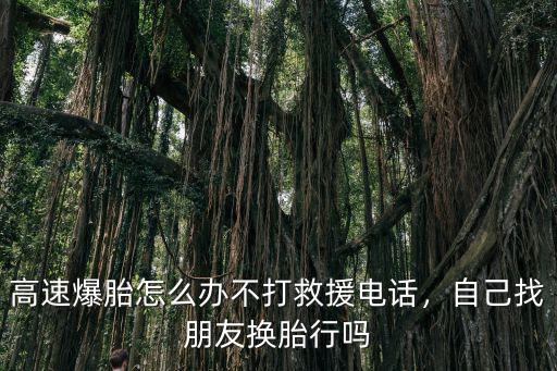 高速爆胎怎么辦不打救援電話，自己找朋友換胎行嗎