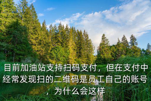 河南地區加油站掃碼支付怎么舉報,目前加油站支持掃碼支付