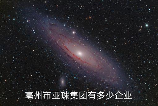 亳州市亞珠集團有多少企業