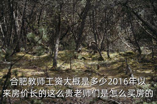合肥教師工資大概是多少2016年以來房價長的這么貴老師們是怎么買房的