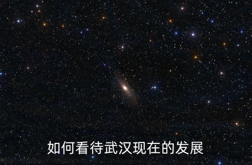 怎么看待武漢人才,武漢本地人如何看待武漢