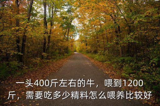 石家莊400斤的小牛多少錢一個,小牛多少錢一頭