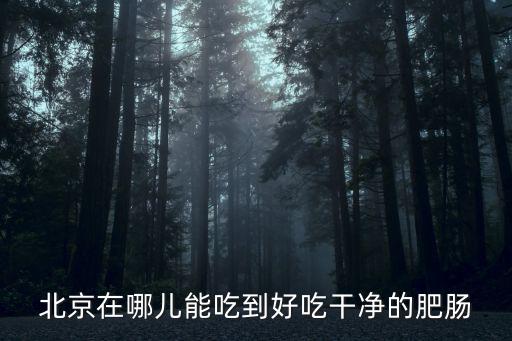 北京在哪兒能吃到好吃干凈的肥腸