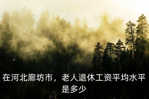 保定市涿州市平均退休工資是多少,老人退休工資平均水平是多少