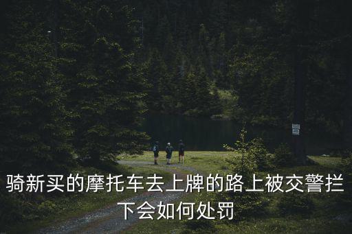 武漢騎摩托車被交警攔怎么處理,騎摩托車被交警攔住